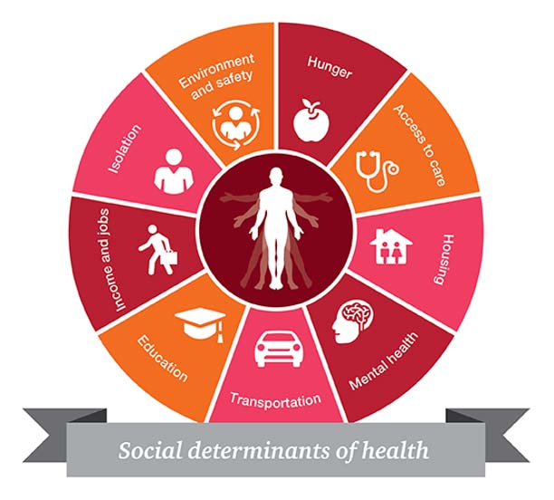Social determinants of health chart